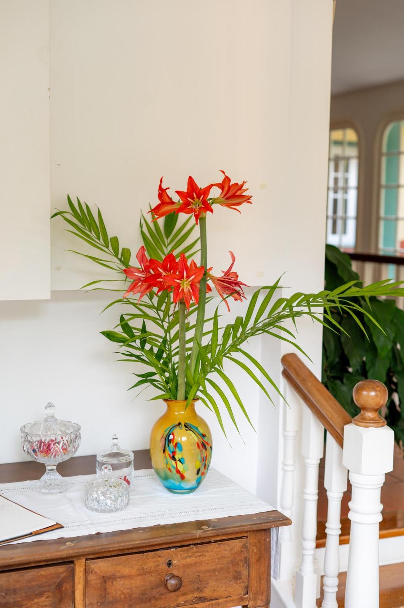 Casa Da Piedade Hotel Sao Vicente  Ngoại thất bức ảnh